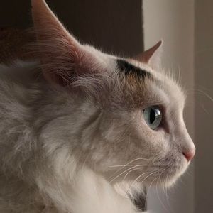 Meet your Posher, Jonah